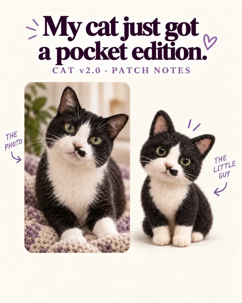 An approved creative comparison showing a cat photo beside a small virtual pet inspired by the same cat.