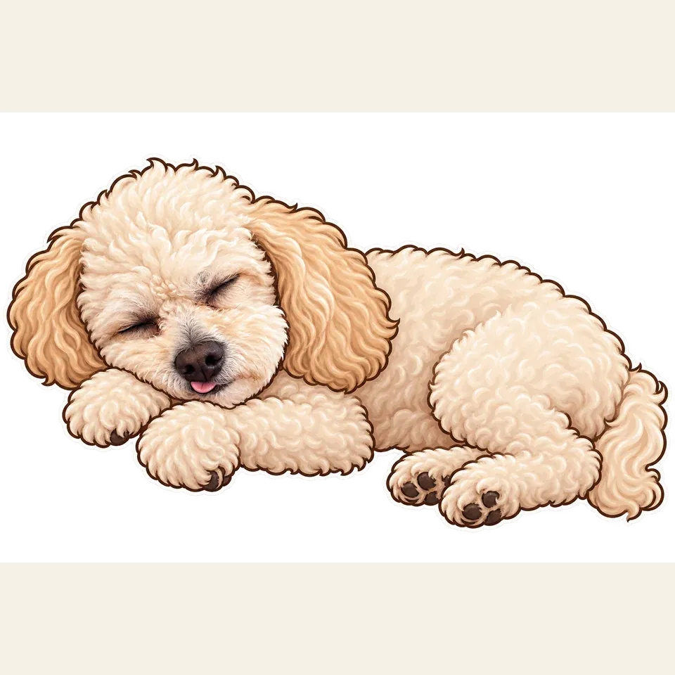 An illustrated little cream poodle with apricot ears, closed eyes, and a tiny tongue tip, from the same internal creative project.