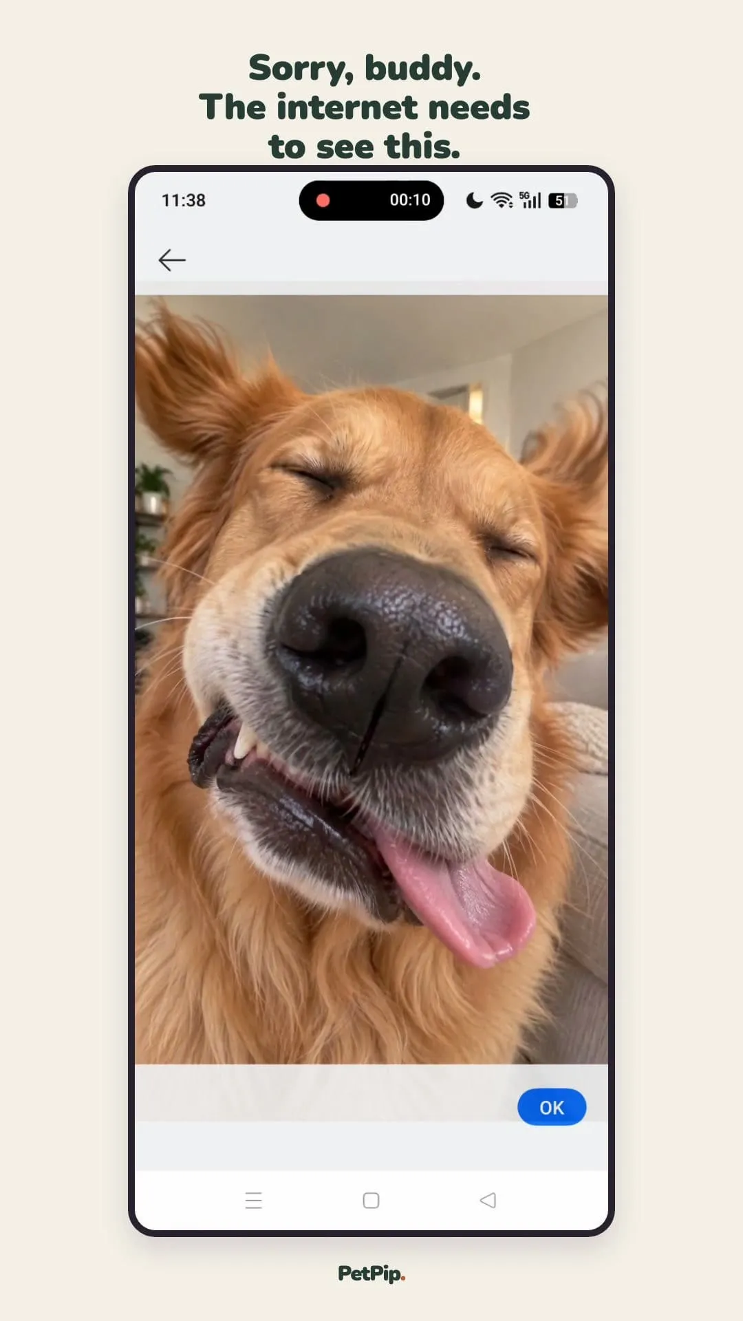 The close-up dog photo selected in a phone photo picker before it is used in PetPip.