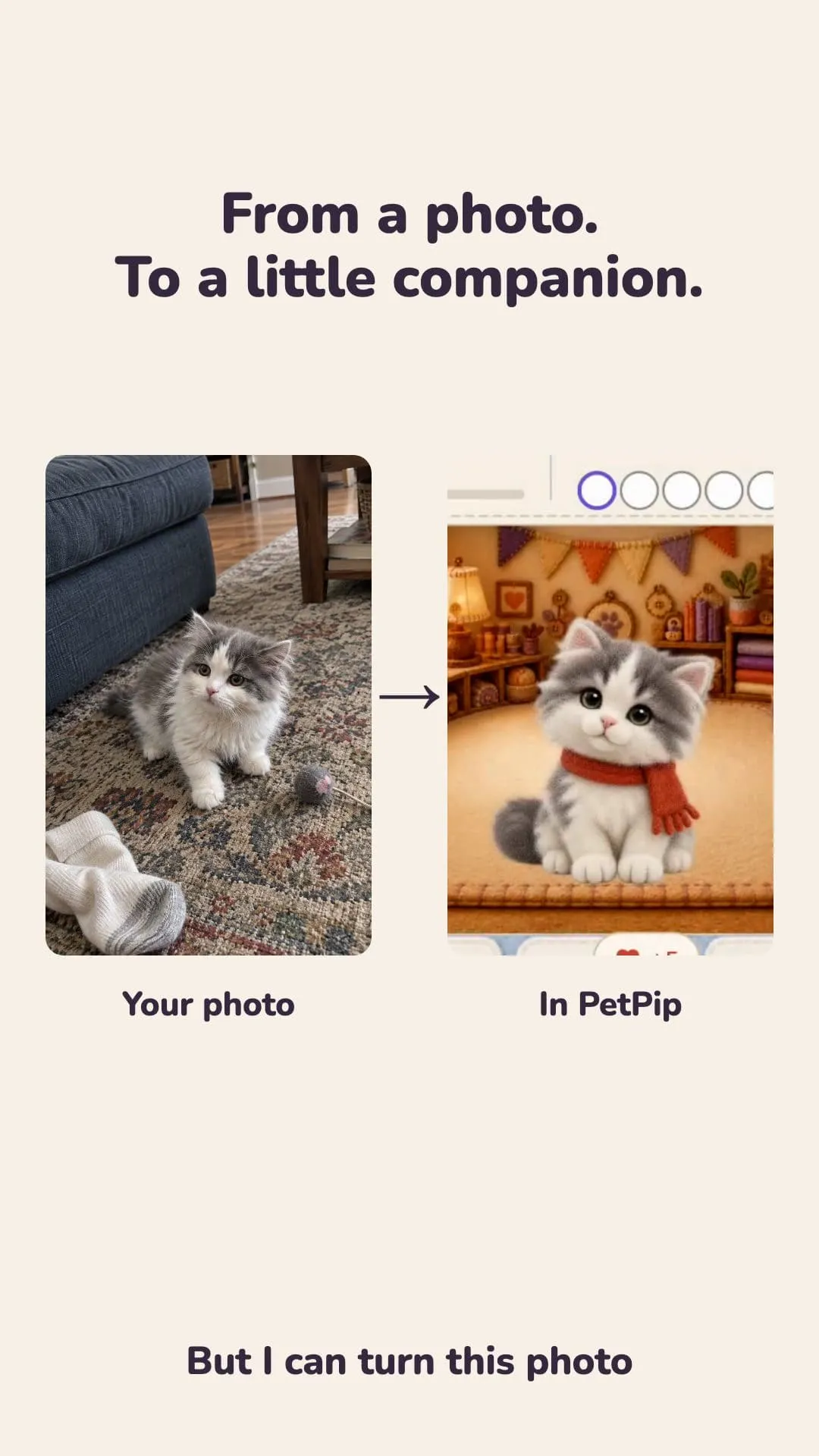 A side-by-side creative showing the kitten photo and its stylized PetPip companion.