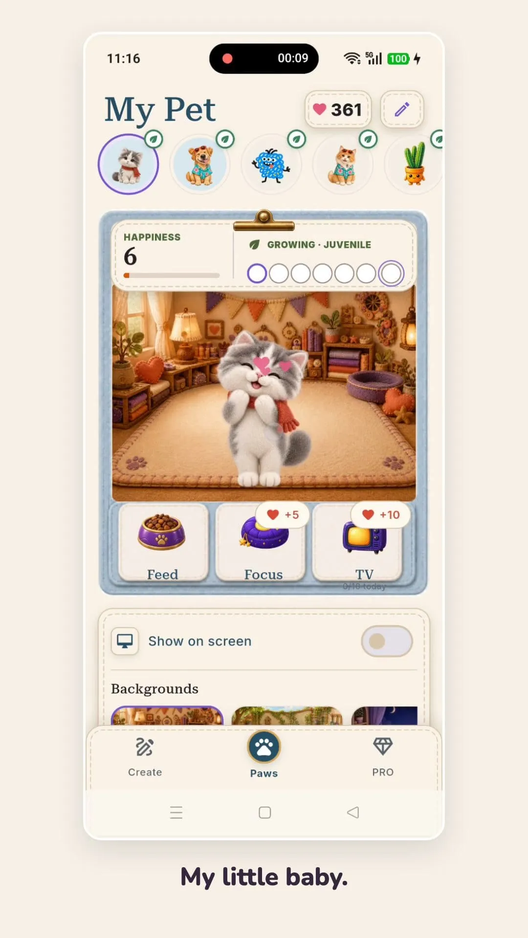 The younger-version cat companion standing inside the PetPip care screen.