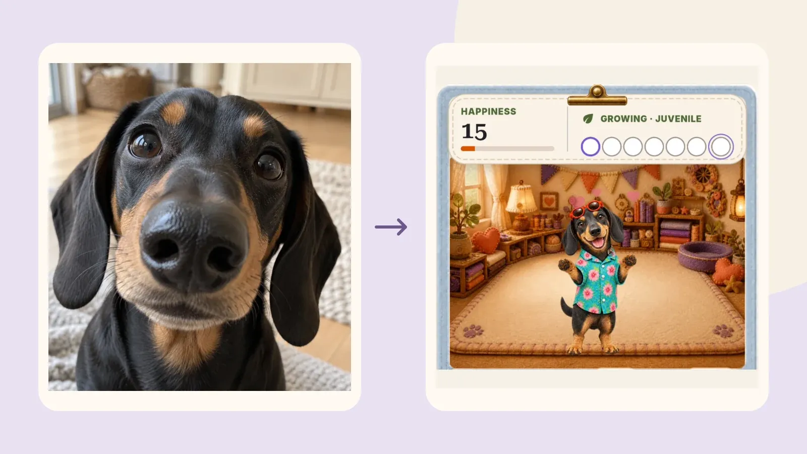 A designed comparison of an internal dachshund source image and its actual PetPip companion, showing the tan face markings and long ears.